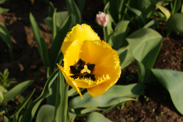 Similar image 21663942