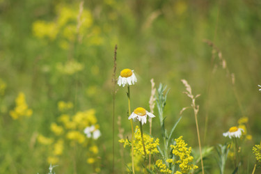 Similar image 21663943