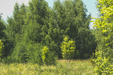 Similar image 21663944