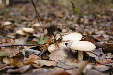 Similar image 21663947