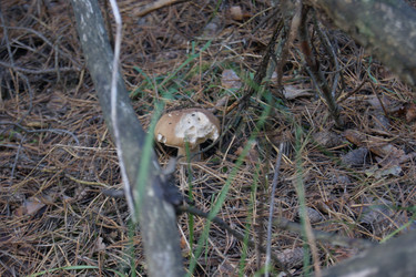 Similar image 21663949