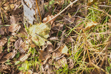 Similar image 21663950