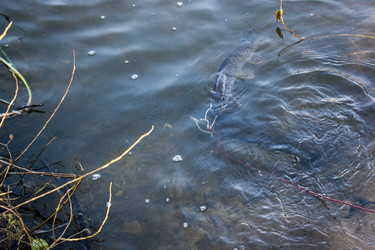 Similar image 21663951