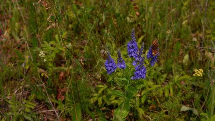 Similar image 21663952