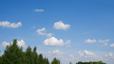 Similar image 21663953