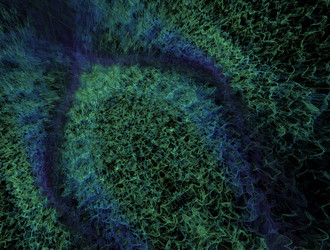 Similar image 21666532