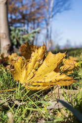 Similar image 21667976