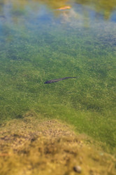 Similar image 21667978