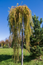 Similar image 21667979