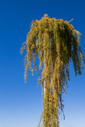 Similar image 21667980