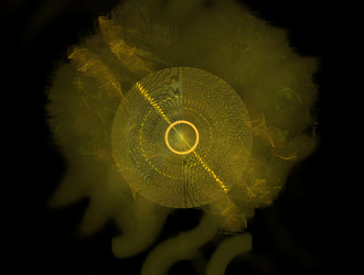 Similar image 21666945