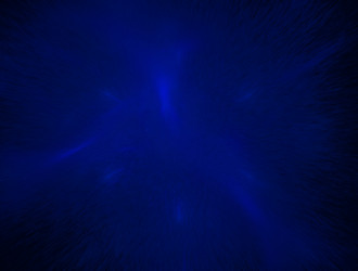 Similar image 21664997