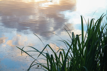 Similar image 21663568