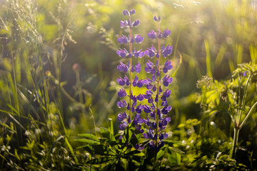 Similar image 21662878