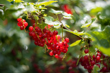 Similar image 21662879