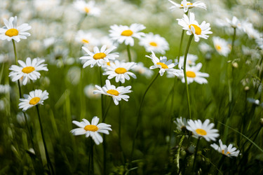 Similar image 21662881