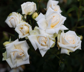 Similar image 21662883