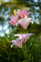 Similar image 21662884