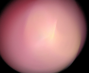 Similar image 21662904