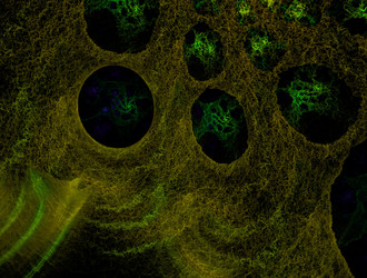 Similar image 21666219