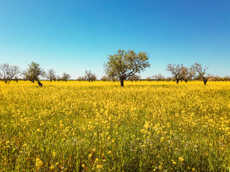 Similar image 21665433