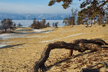 Similar image 21664338