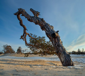 Similar image 21664342