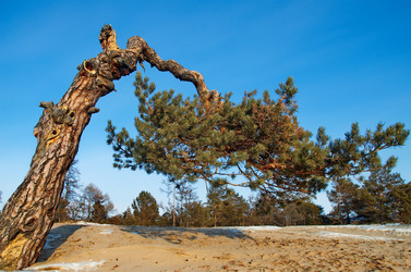 Similar image 21664344