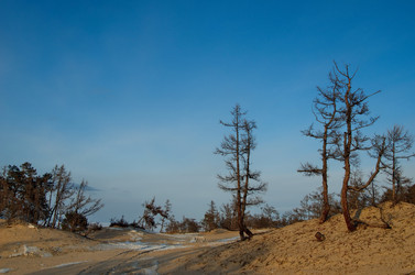 Similar image 21664348