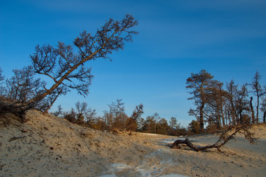 Similar image 21664352