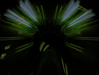 Similar image 21665006