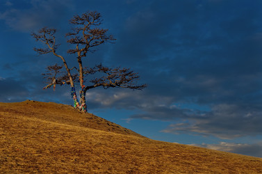 Similar image 21663762