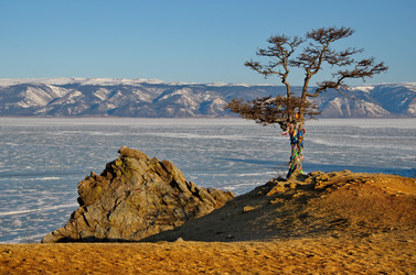 Similar image 21663766