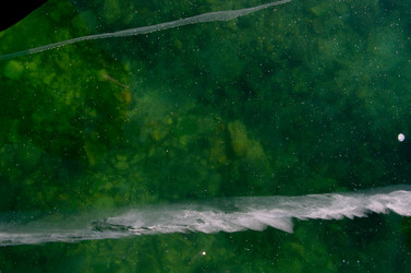 Similar image 21664406