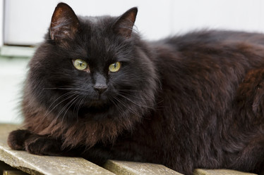 Similar image 21662963