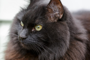 Similar image 21662964