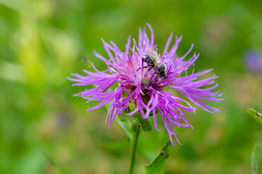 Similar image 21662965