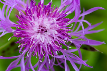 Similar image 21662966