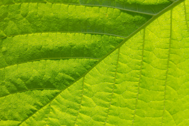 Similar image 21662968