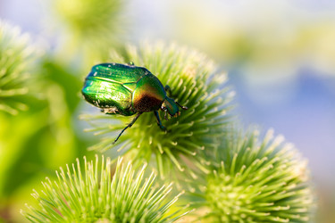 Similar image 21662970