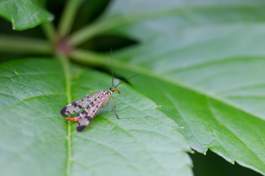 Similar image 21662971