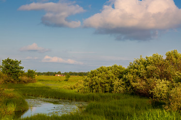 Similar image 21663000