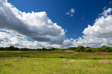 Similar image 21663602