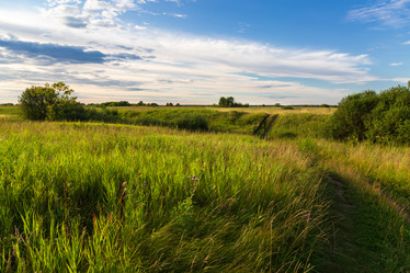 Similar image 21663603