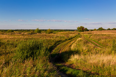 Similar image 21663605