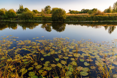 Similar image 21663001