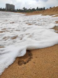 Similar image 21663609