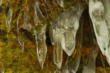 Similar image 21663013