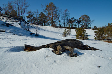 Similar image 21663699