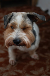 Similar image 21663613